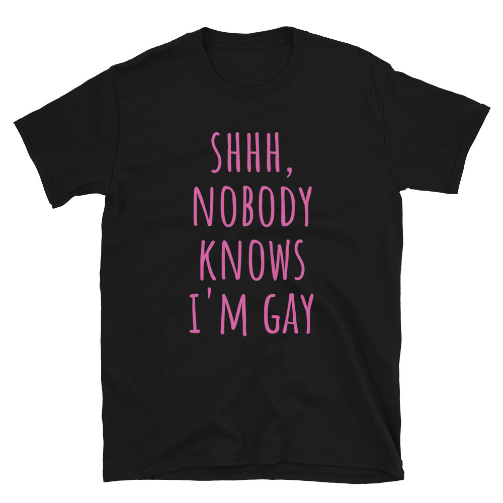 Nobody Knows I'm Gay t-paita