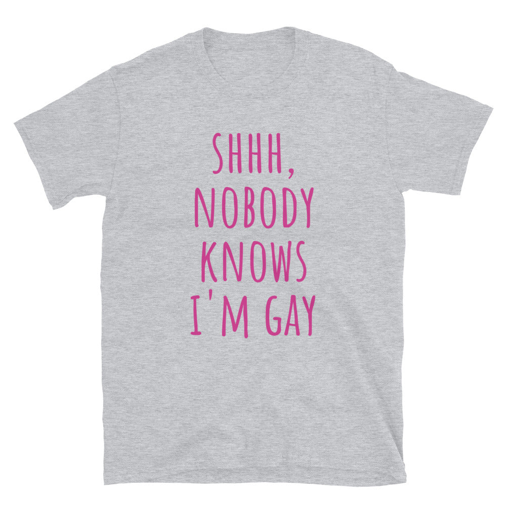 Nobody Knows I'm Gay t-paita