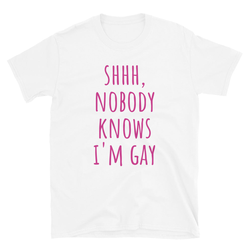 Nobody Knows I'm Gay t-paita